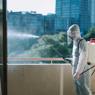Commercial Pest Control | Hemphill, TX | Conn's Pest Control