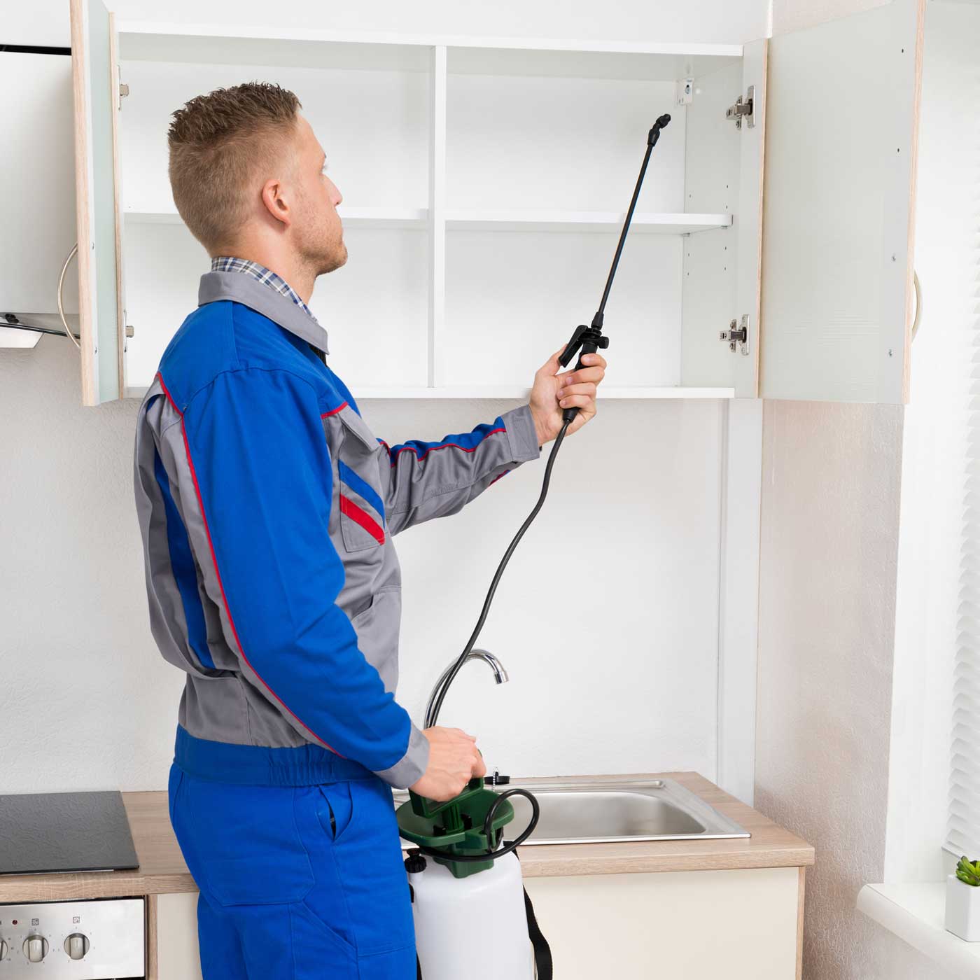 Home Pest Control | Hemphill, TX | Conn's Pest Control Home Pest Control | Hemphill, TX | Conn's Pest Control
