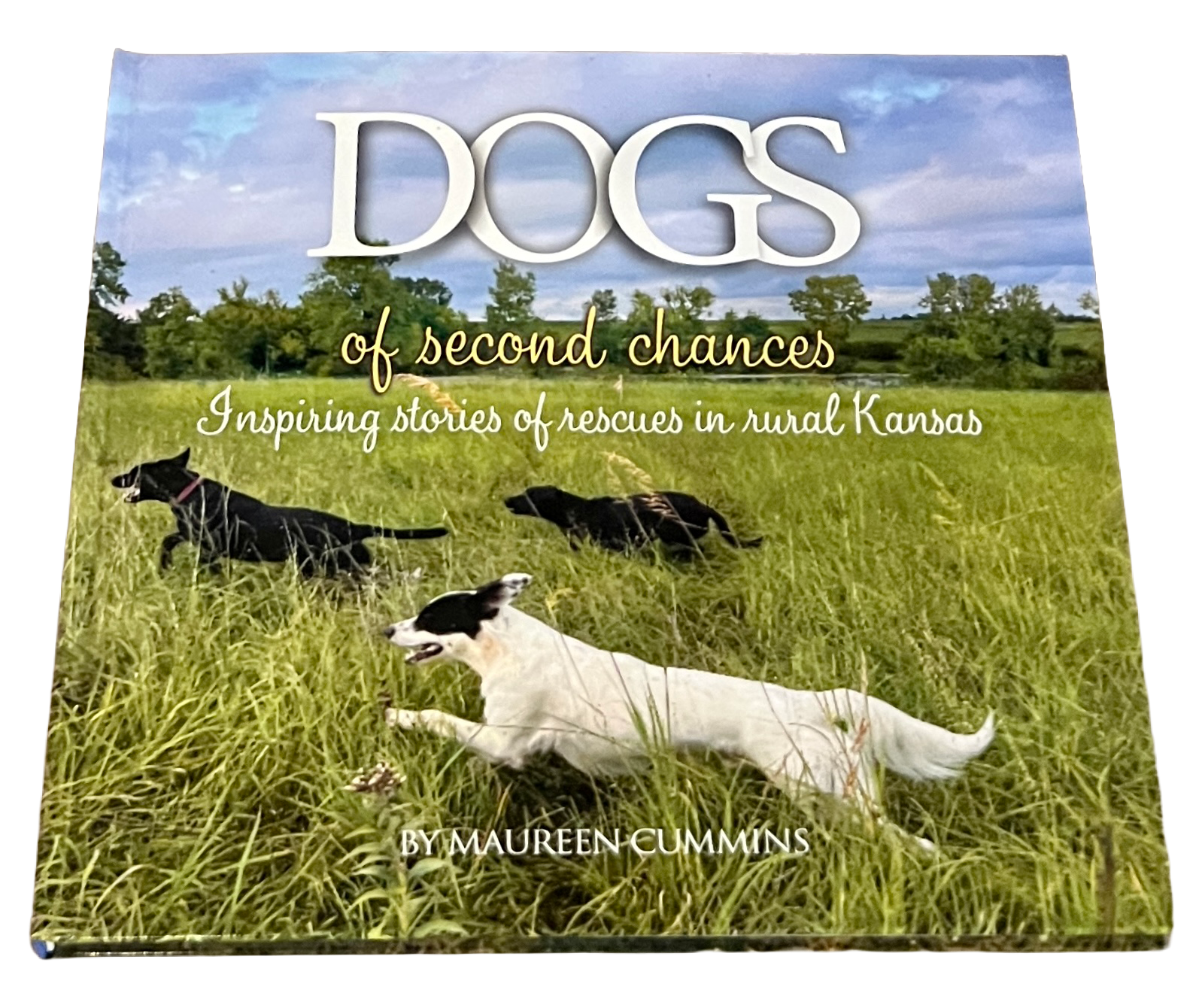 Book cover: 