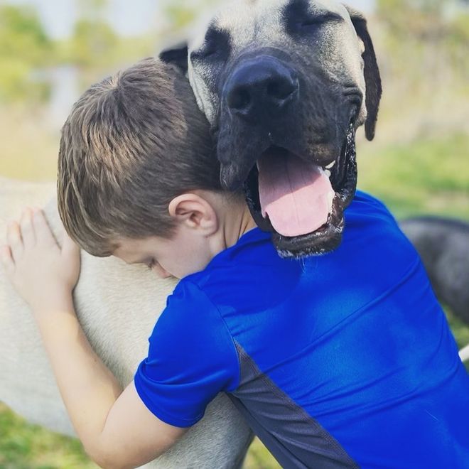 Boy in blue shirt hugging a large dog with open mouth; both appear content.