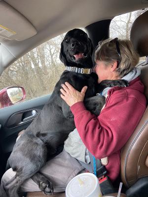 Black dog sitting on a person in a car, hugging. Person wears red sweatshirt.
