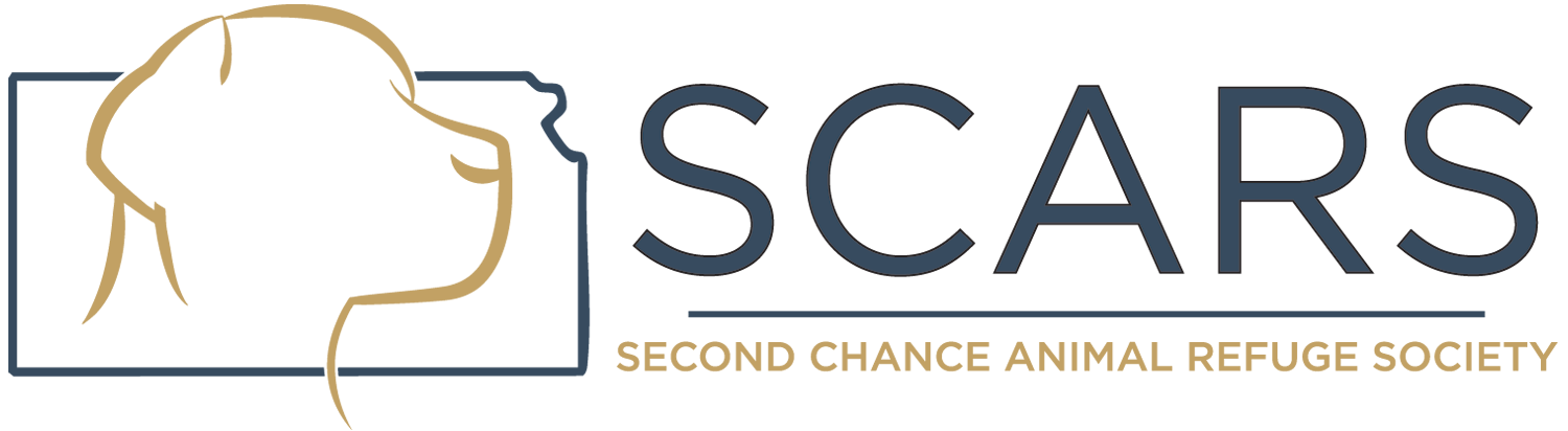 Logo for SCARS: A dog's head outline, text