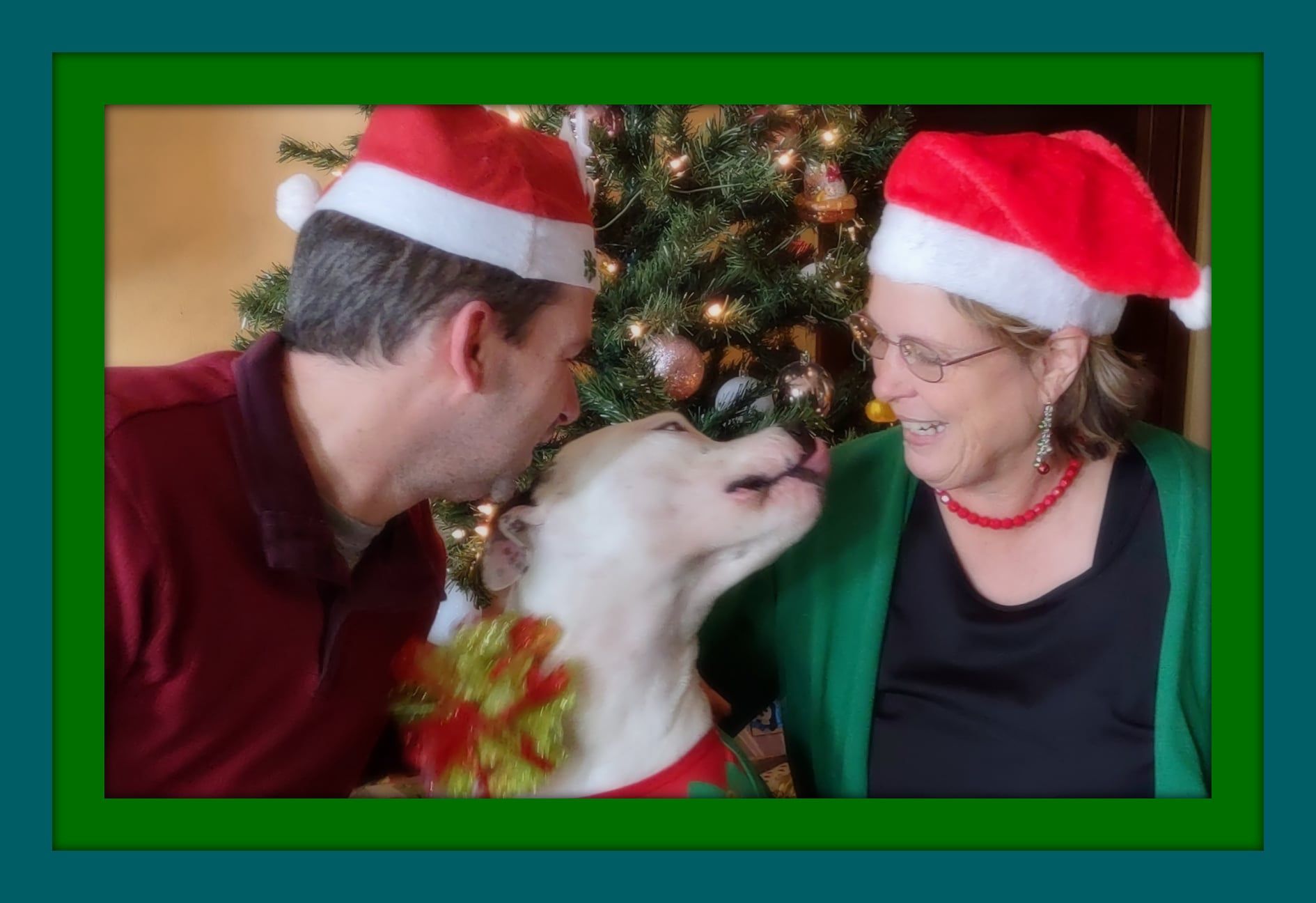 Couple and dog wearing Santa hats in front of Christmas tree; the dog is being kissed by the man and woman.