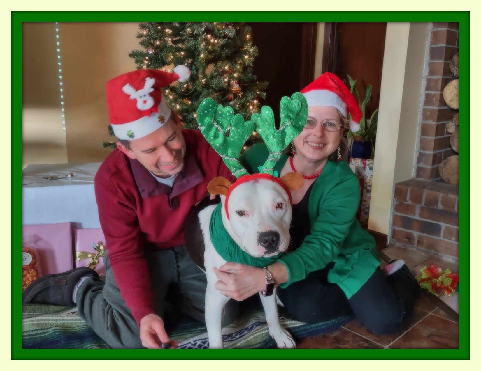 People and dog in holiday attire posing by a Christmas tree and fireplace; dog wearing reindeer antlers.
