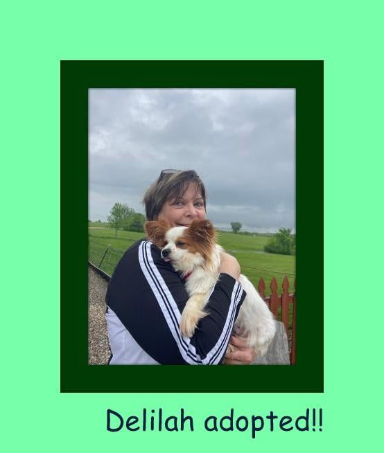 Woman hugs a small dog outdoors; green frame with text: