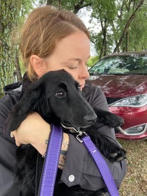 Woman holding a black dog with a purple leash; red car in the background.