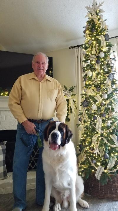 Man and St. Bernard dog pose by decorated Christmas tree in a living room.