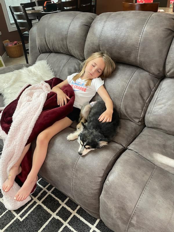 Girl and dog napping on a gray couch, covered with a blanket.