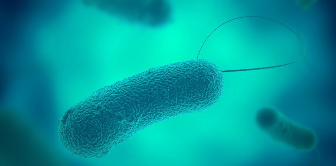 How Legionella Bacteria Can Thrive In Stagnant Water Systems