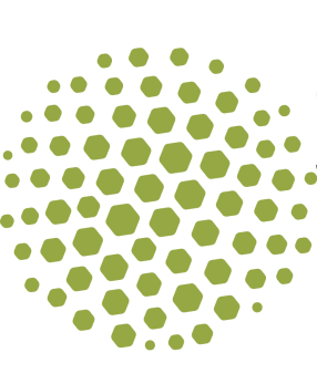 LASA Icon A circle of green dots on a white background.