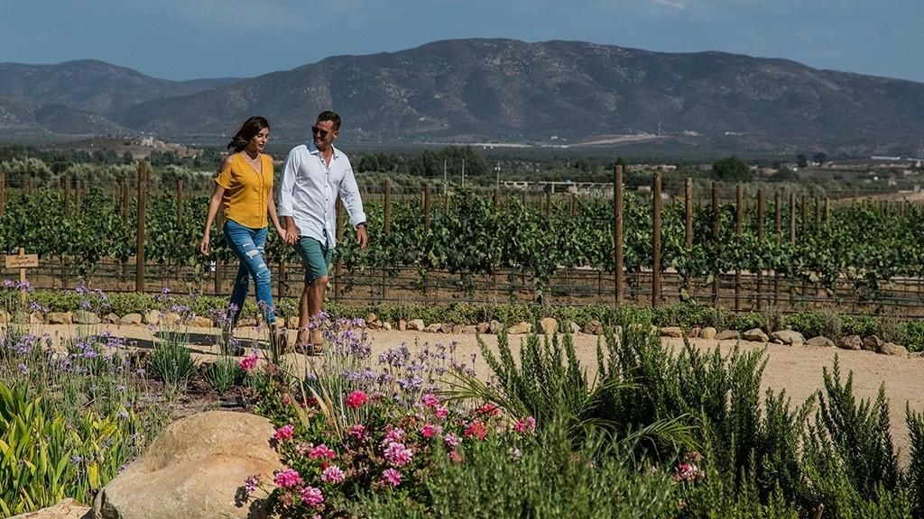 Tres amigos charlando en un sofá del patio, con bebidas y botellas de vino sobre una mesa en el Valle de Guadalupe