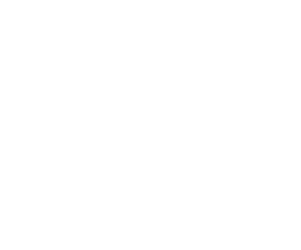 A white background with a few lines on it