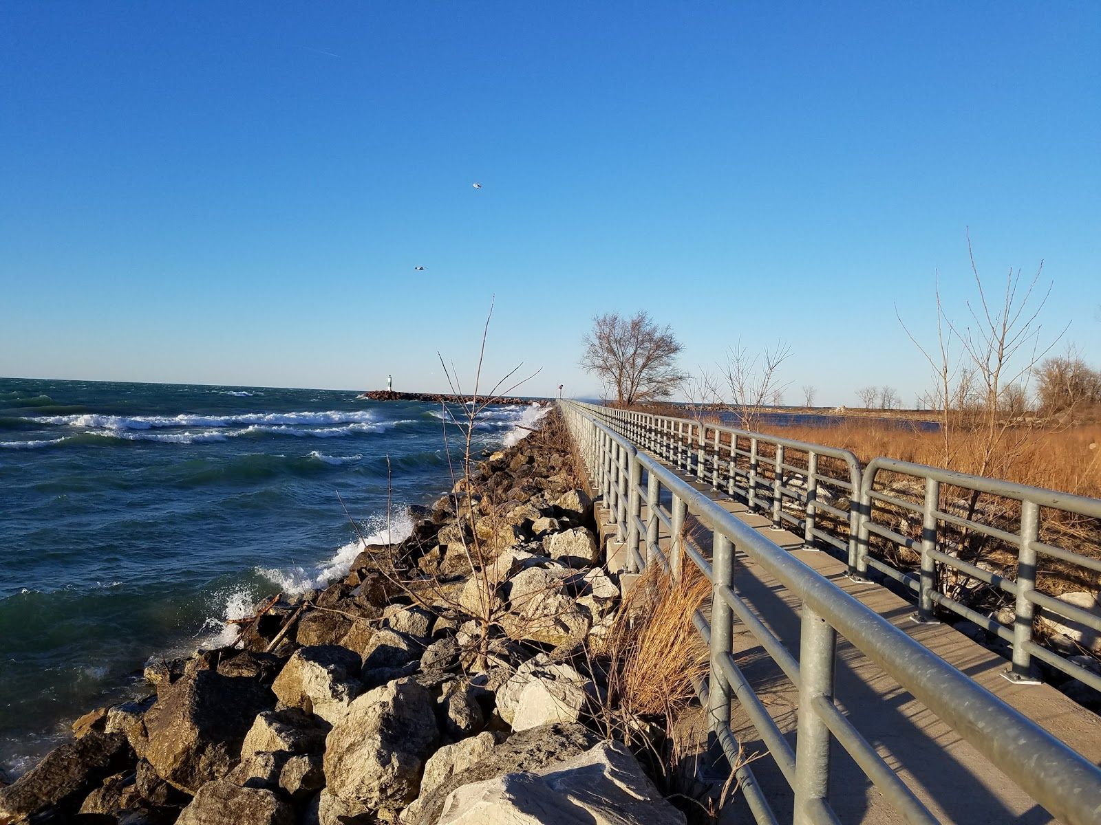 A walkway along the shore of a body of water.