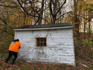 A person in an orange shirt leans against the side of a white, weathered wooden shed in a forest during autumn.