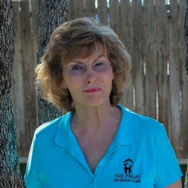 A woman wearing a blue shirt that says the palms on it
