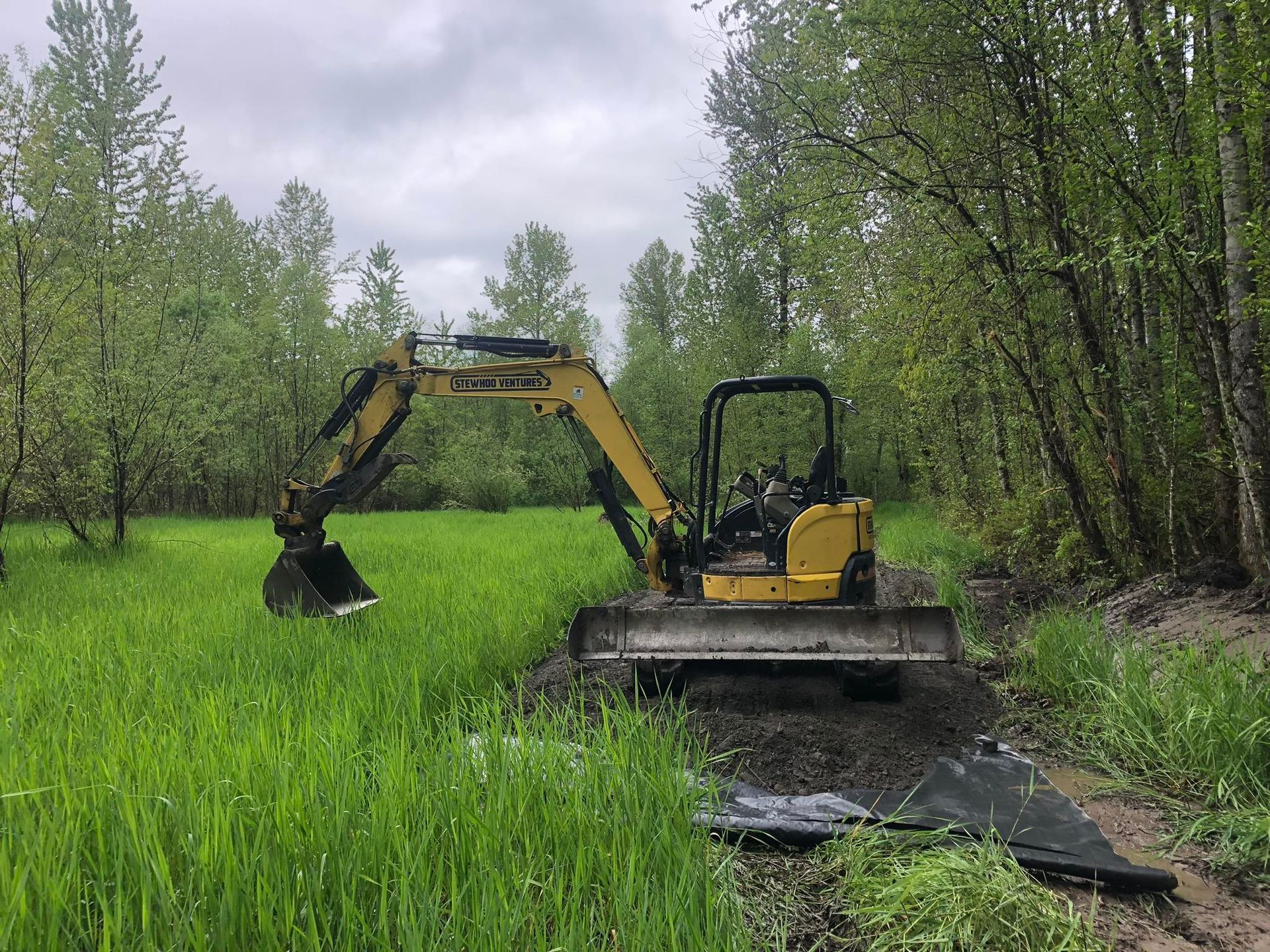 Yellow excavator parked on a gravel path beside tall grass, trees in the background under an overcast sky.
