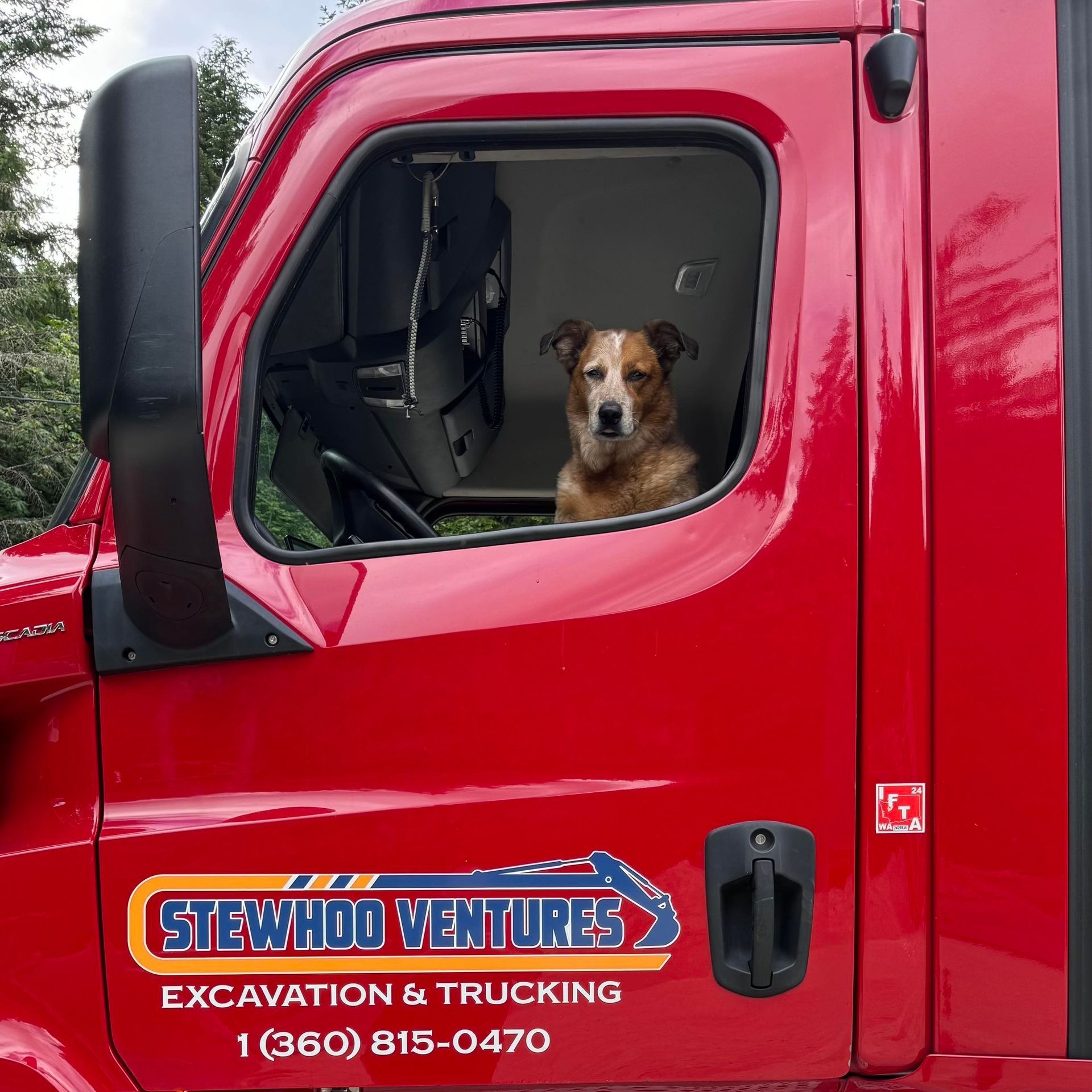 Dog in the cab of a red semi-truck with 