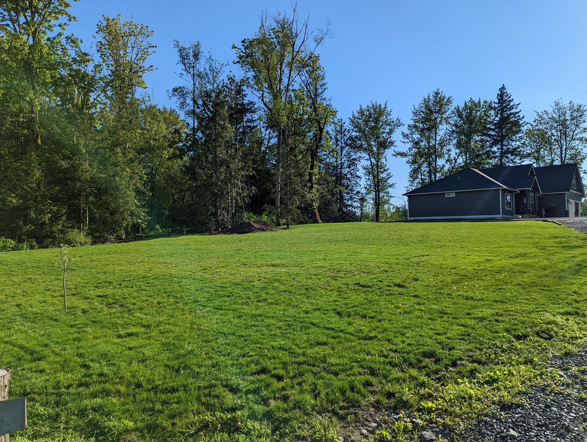 Green grassy lot with trees and a dark-roofed house in the distance under a blue sky.
