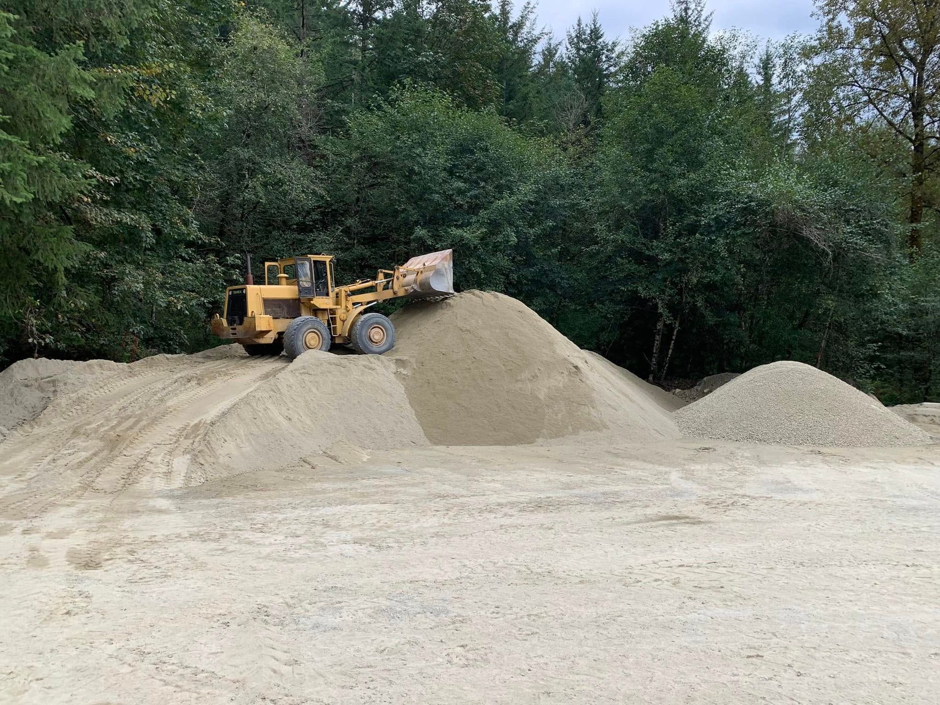 Yellow loader pushing material onto a pile, in front of a forest.