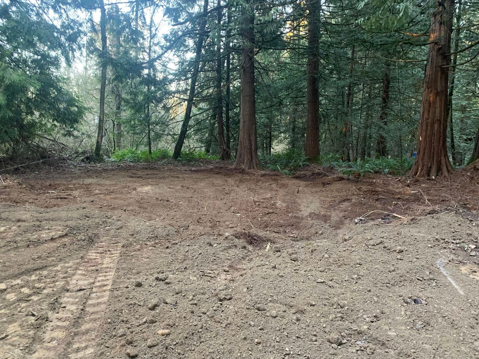 Cleared dirt area in a forest, tire tracks in foreground, trees in the background.