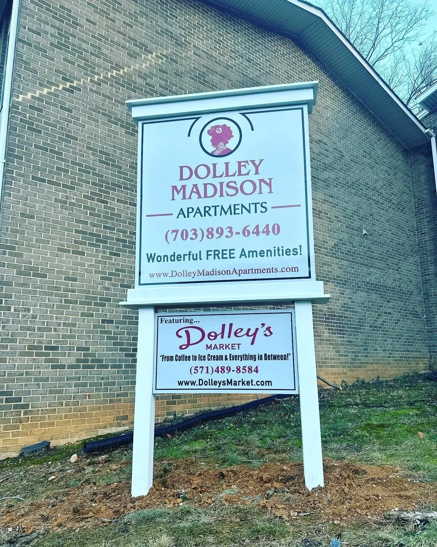 Dalley Madison Apartments sign on brick wall, white and pink lettering, with contact info and branding.