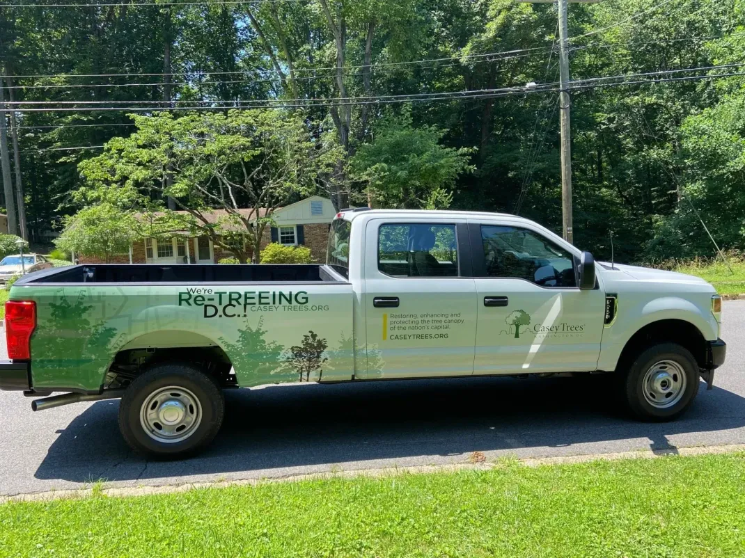 Green utility pickup truck parked on a roadside, labeled “DEER FENCING,” with trees in the background