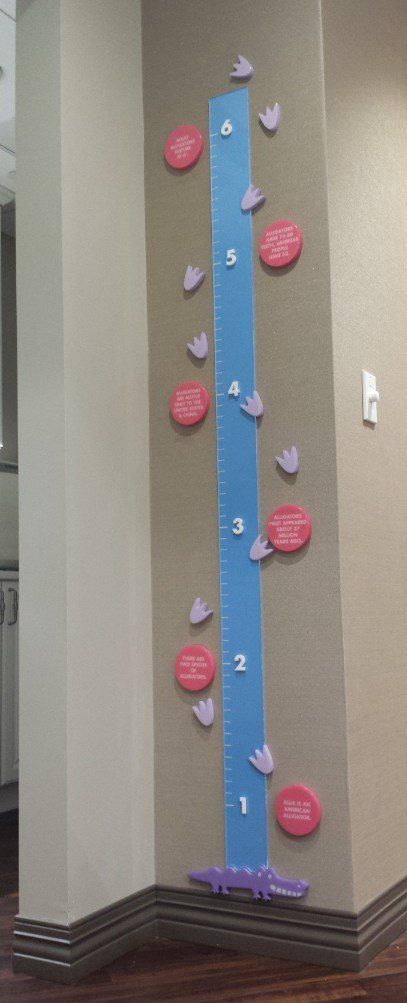 Vertical blue climbing wall with pink holds and numbered route markers indoors