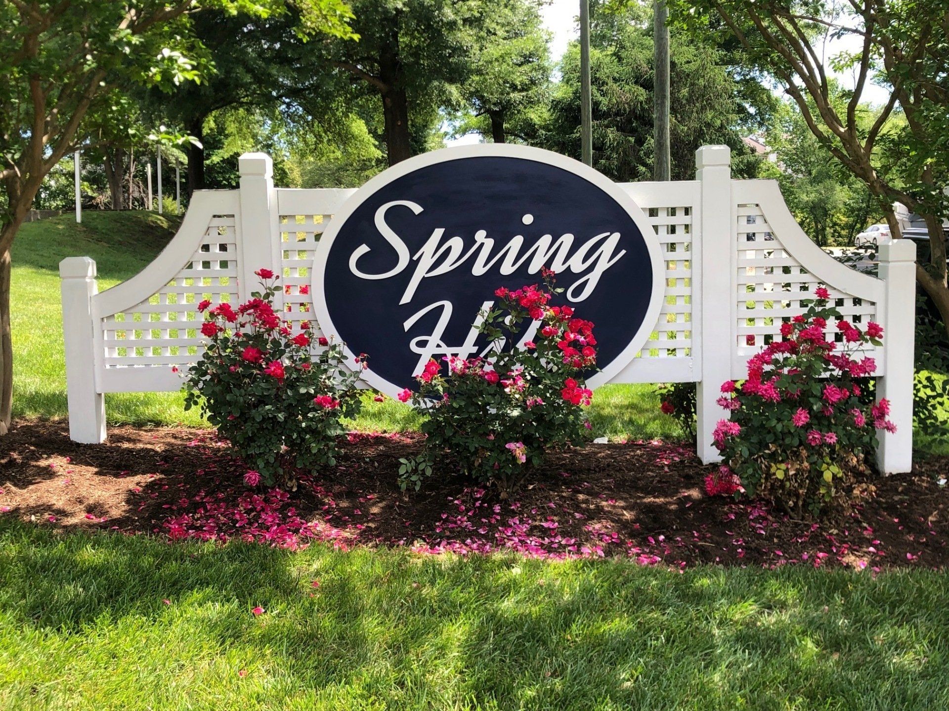 Spring sign in a garden with white fence and pink flowering shrubs.