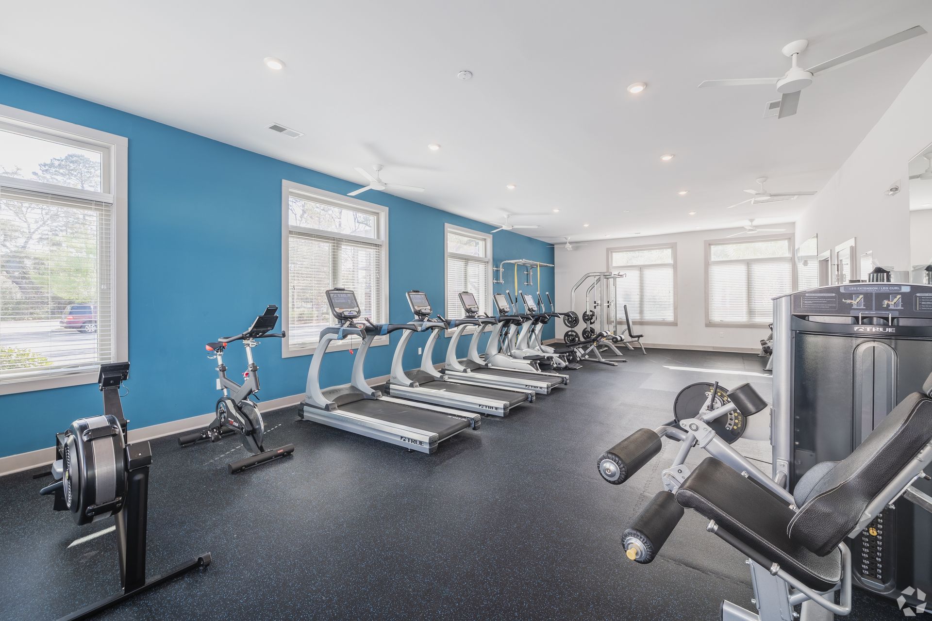 Bright gym with treadmills, stationary bikes, and strength machines on black flooring and blue walls