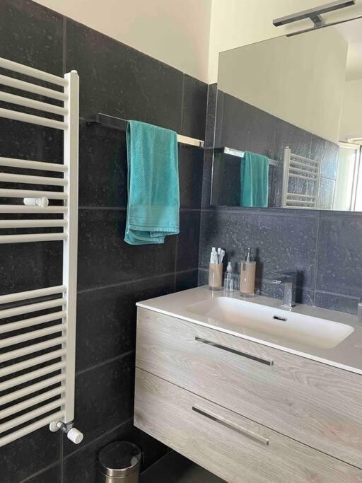 Un bagno con lavandino e porta asciugamani