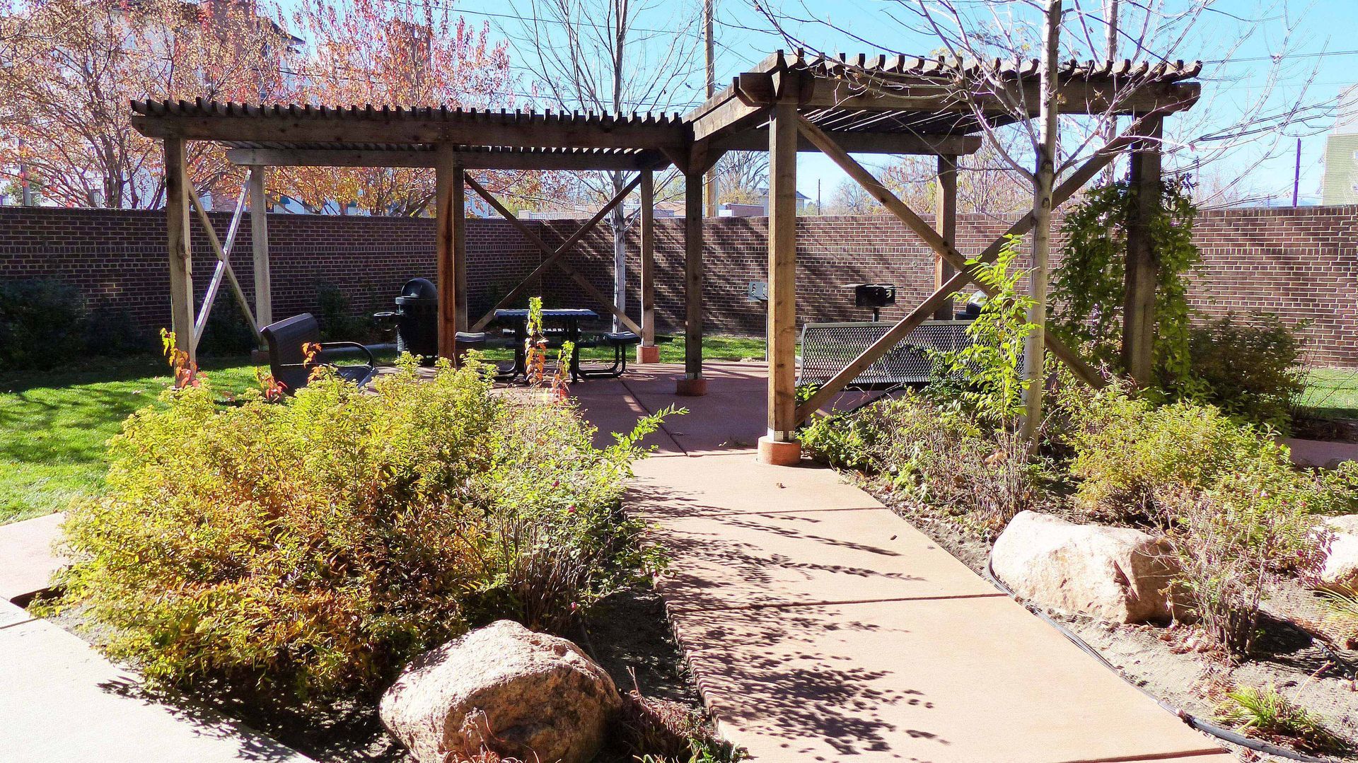 Sunny garden path leading to a wooden pergola and steps, with shrubs and rocks in the foreground
