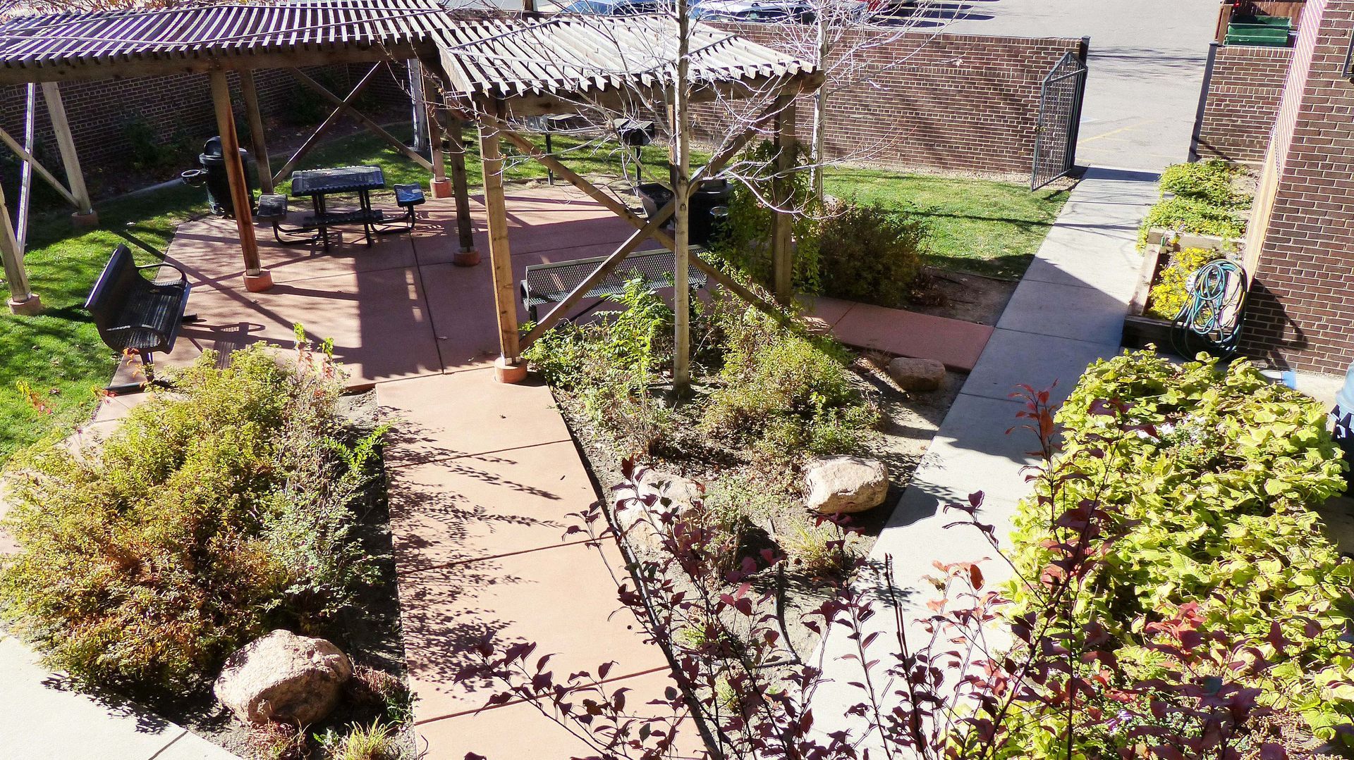 Sunny garden courtyard with paved path, shrubs, and a shaded pergola seating area