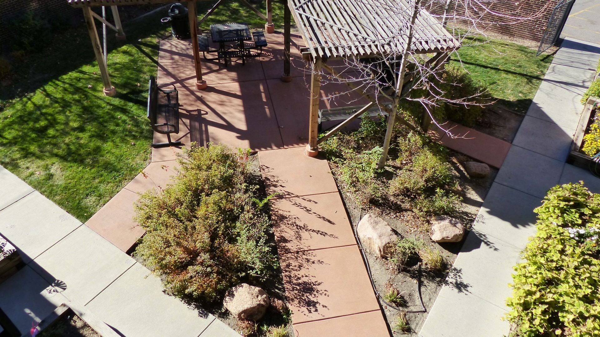 Aerial view of a sunlit courtyard with walkways, shrubs, trees, and a wooden pergola
