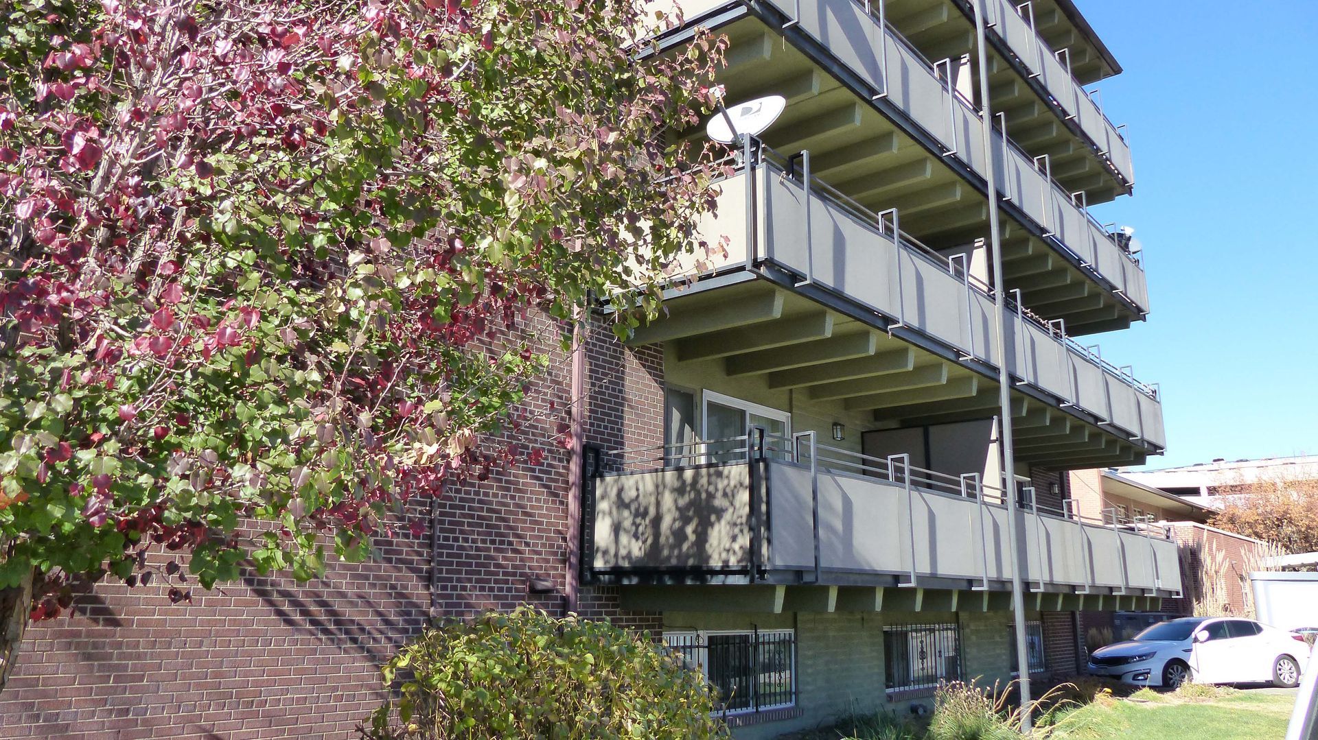 Apartment building with balconies beside a flowering tree and parked cars