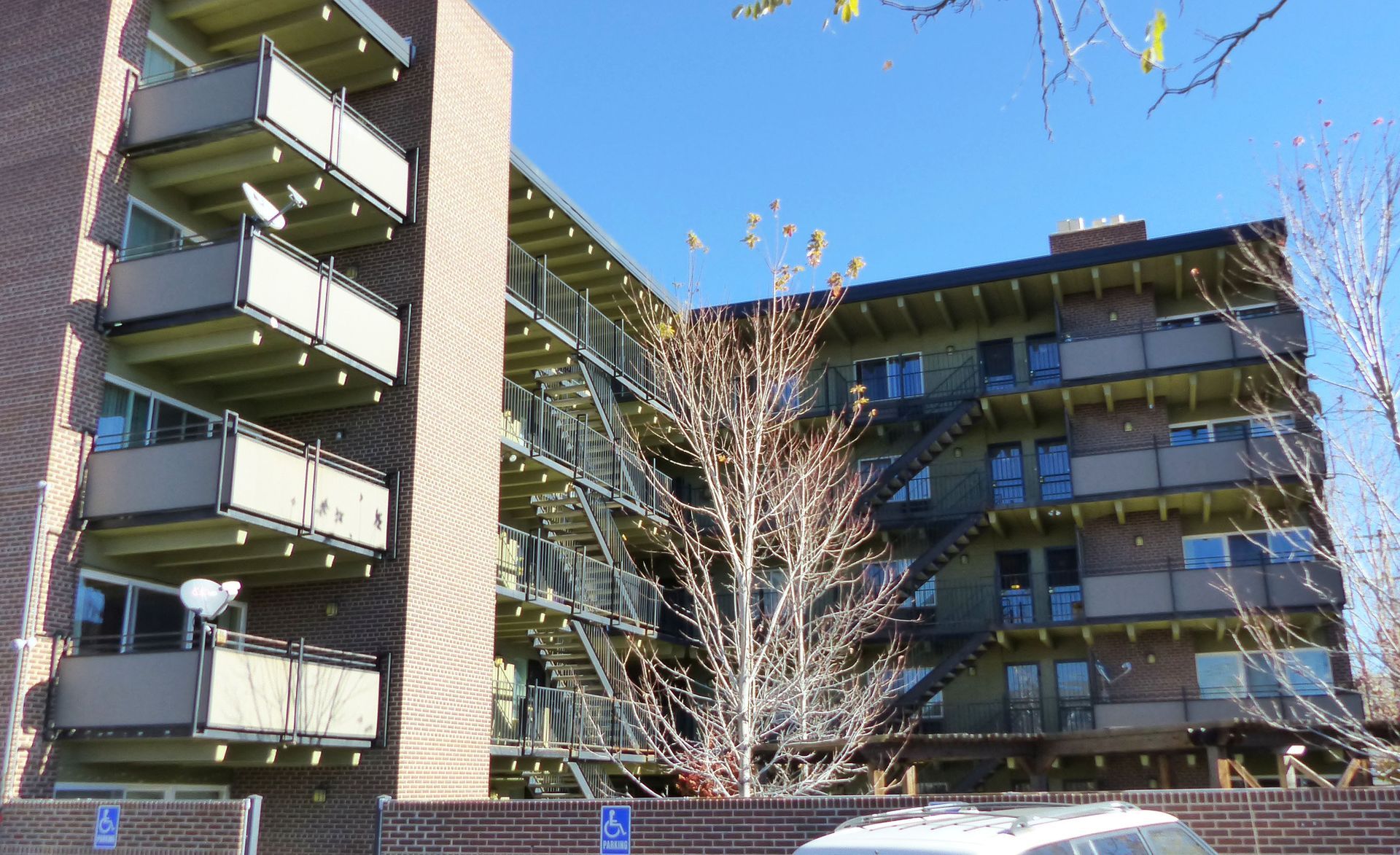 Apartment buildings with green balconies behind leafless trees on a sunny day