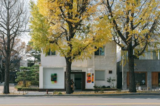 ENT Near Cheongdam &ndash; ENT care at Gangnam Yonsei ENT Clinic in Gangnam, Seoul