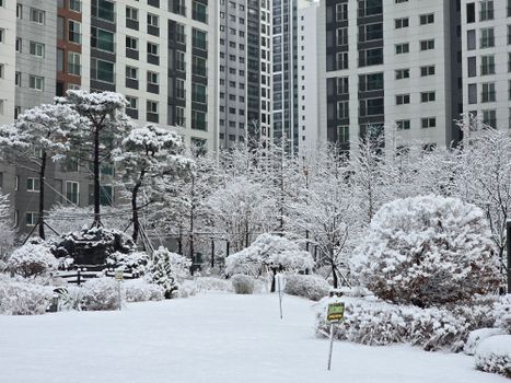 Patients from Canada &ndash; ENT care at Gangnam Yonsei ENT Clinic in Gangnam, Seoul