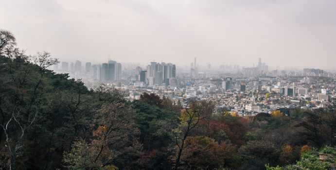 Fine Dust and Yellow Dust Allergies for Newcomers &ndash; ENT care at Gangnam Yonsei ENT Clinic in Gangnam, Seoul