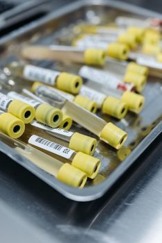 Allergy Test &ndash; ENT care at Gangnam Yonsei ENT Clinic in Gangnam, Seoul