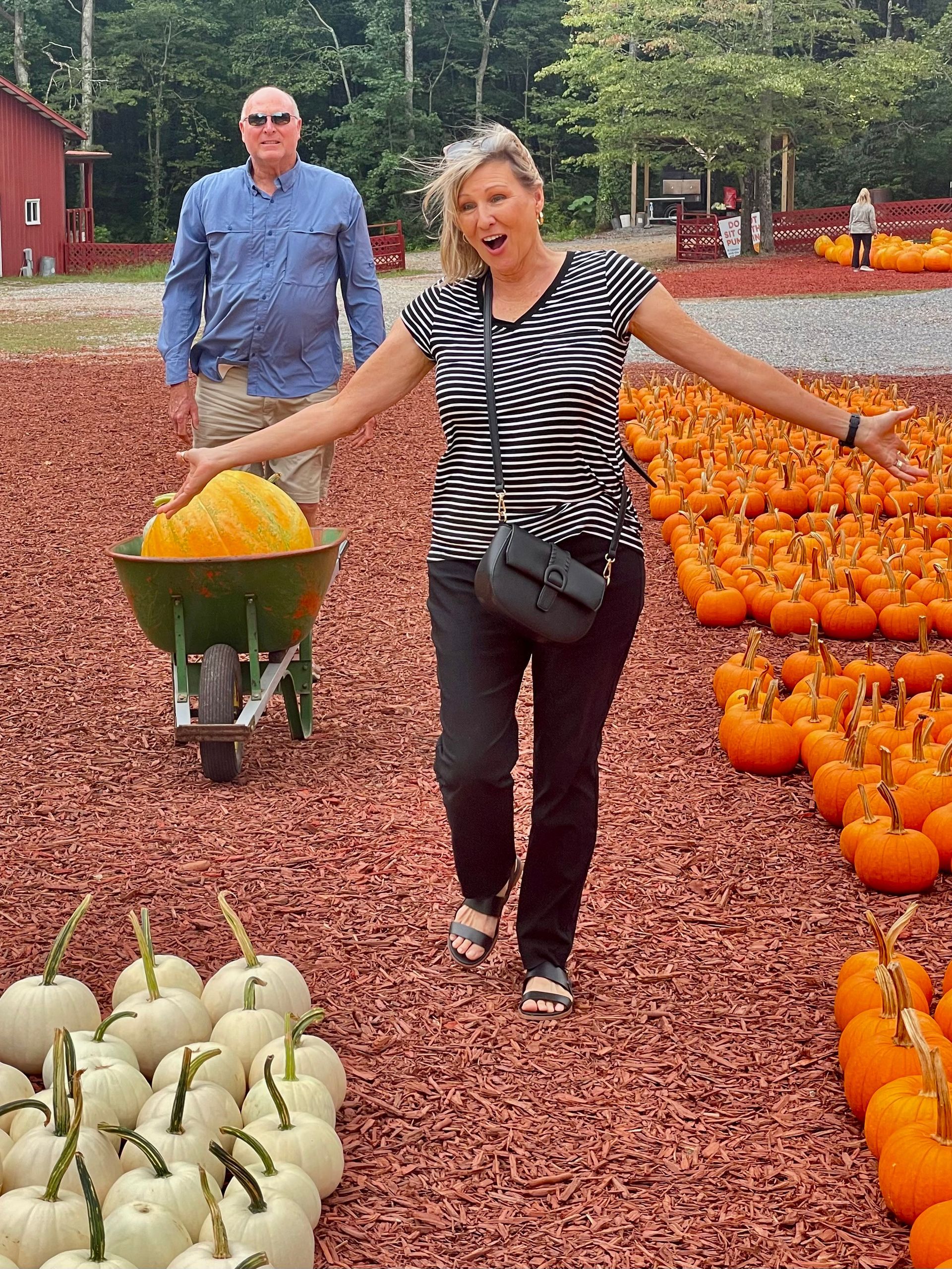 Woman with arms outstretched poses in a pumpkin patch, man pushing a wheelbarrow with a large pumpkin.