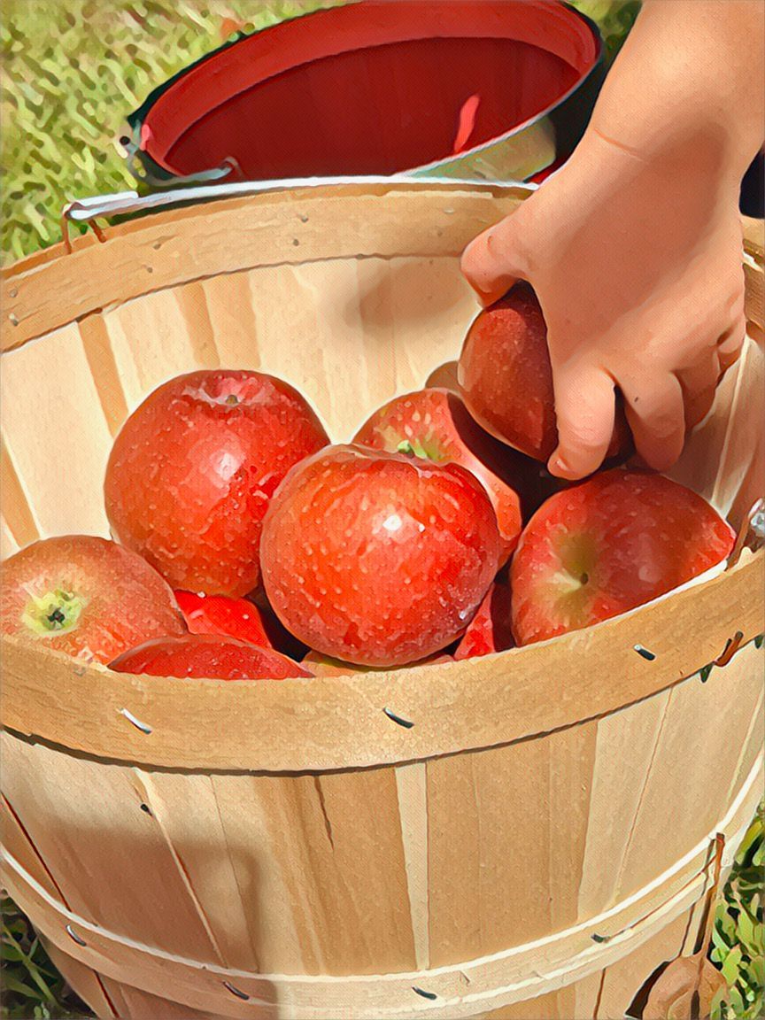 Child's hand reaching into a wooden basket filled with red apples. A red bucket is visible in the background.
