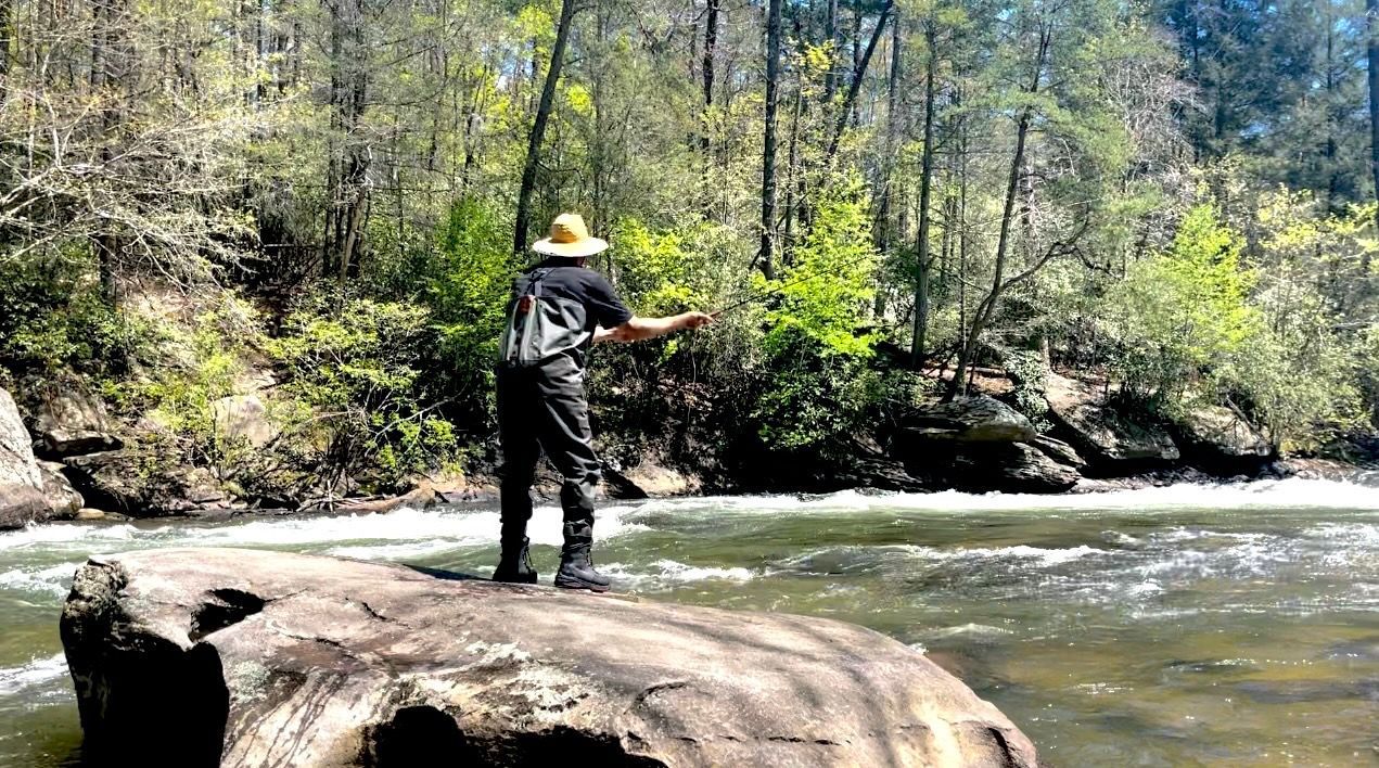 A person fly-fishing in a river, standing on a large rock. Forest and water in the background.