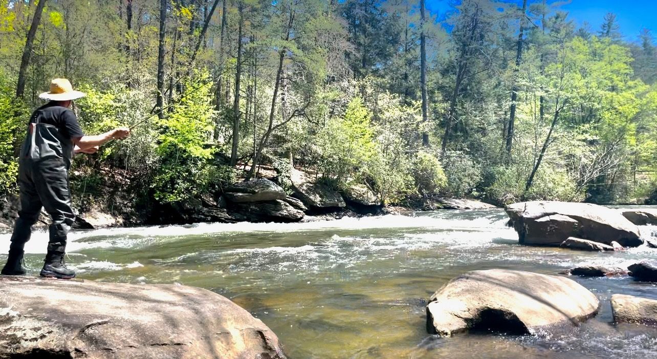 A person fly fishing in a river surrounded by trees and rocks on a sunny day.