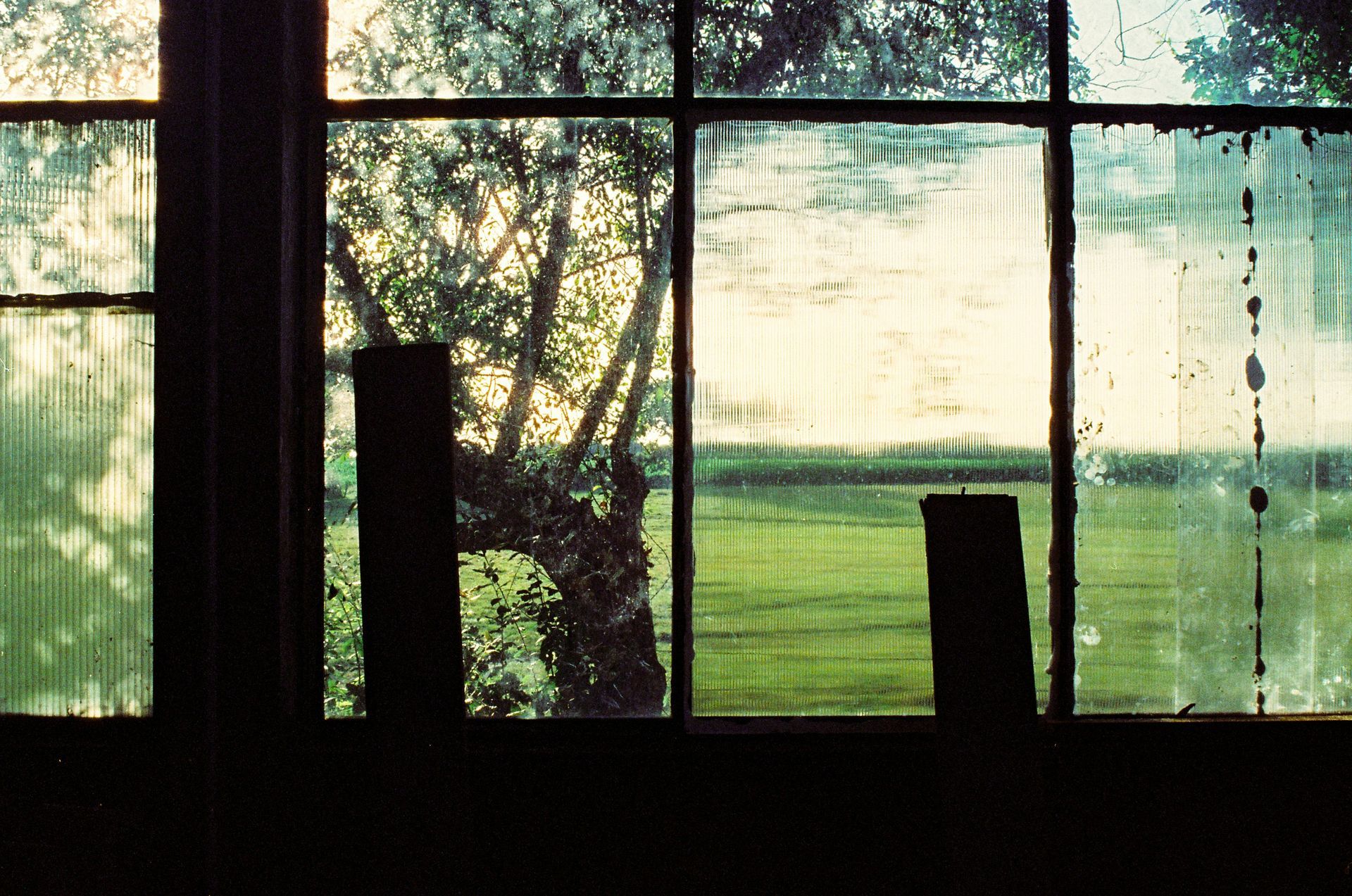 Uitzicht vanuit het raam op een boom en een veld, met getextureerd glas. Donker silhouet van kozijn en interieur.