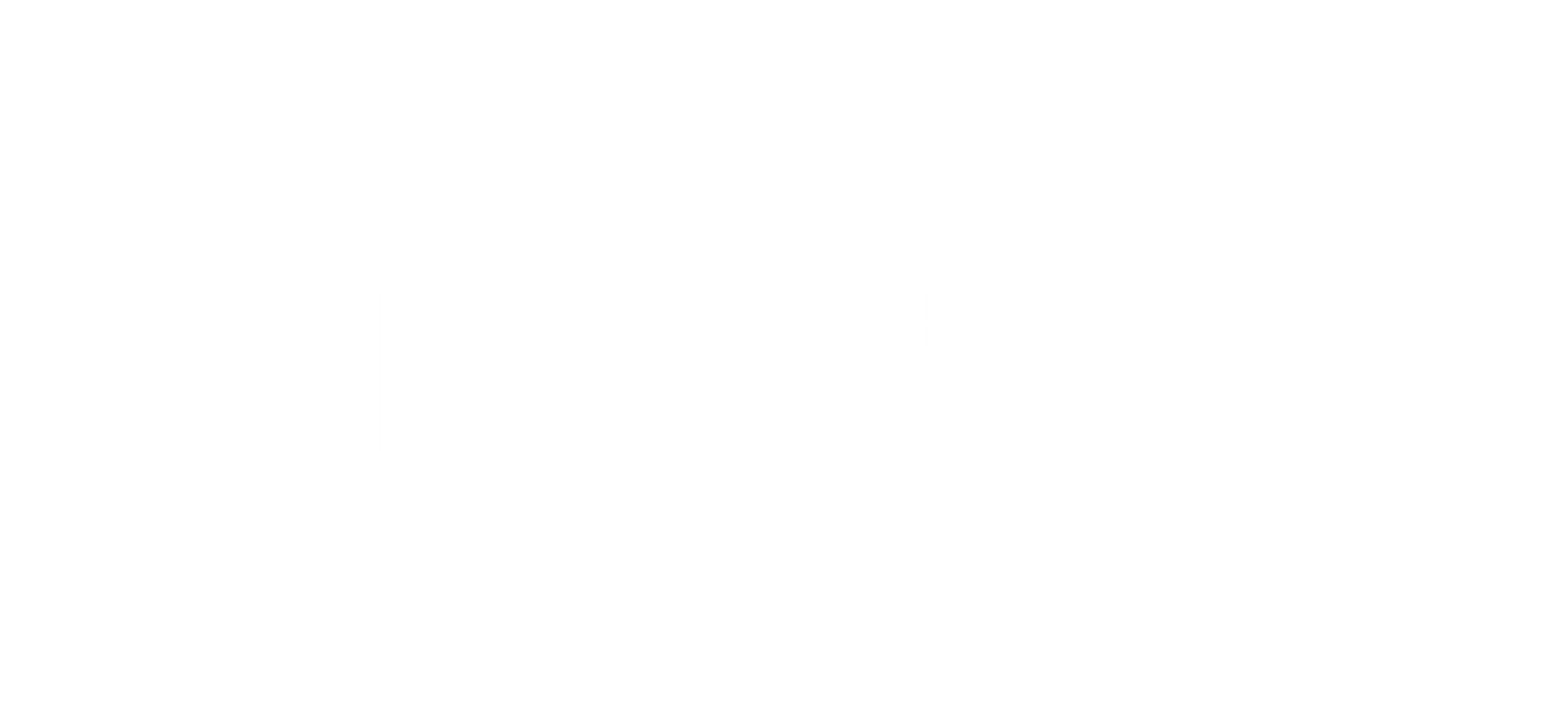 Wentinck WTK Conductores eléctricos