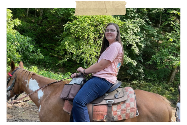 Person smiling on a brown horse in a wooded outdoor setting