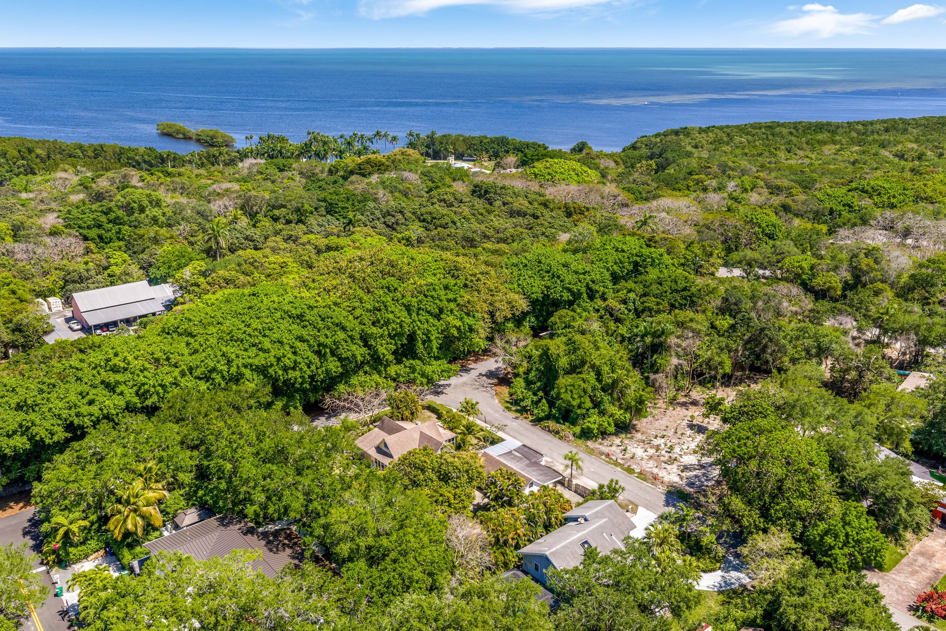 Aerial view of lush tropical forest with scattered homes near a blue ocean coastline.