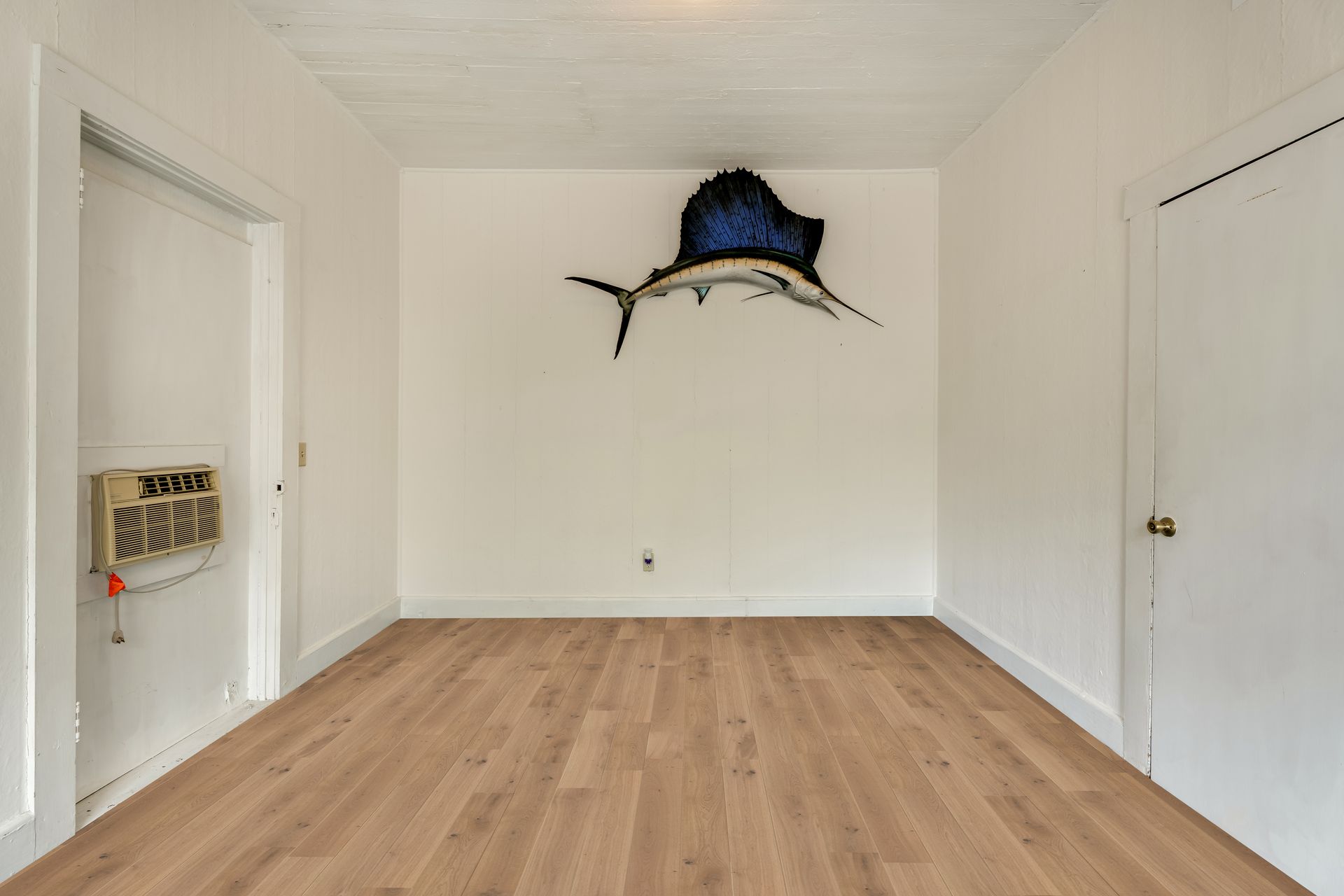 Empty white room with light wood floors and a large fish wall mount on the far wall