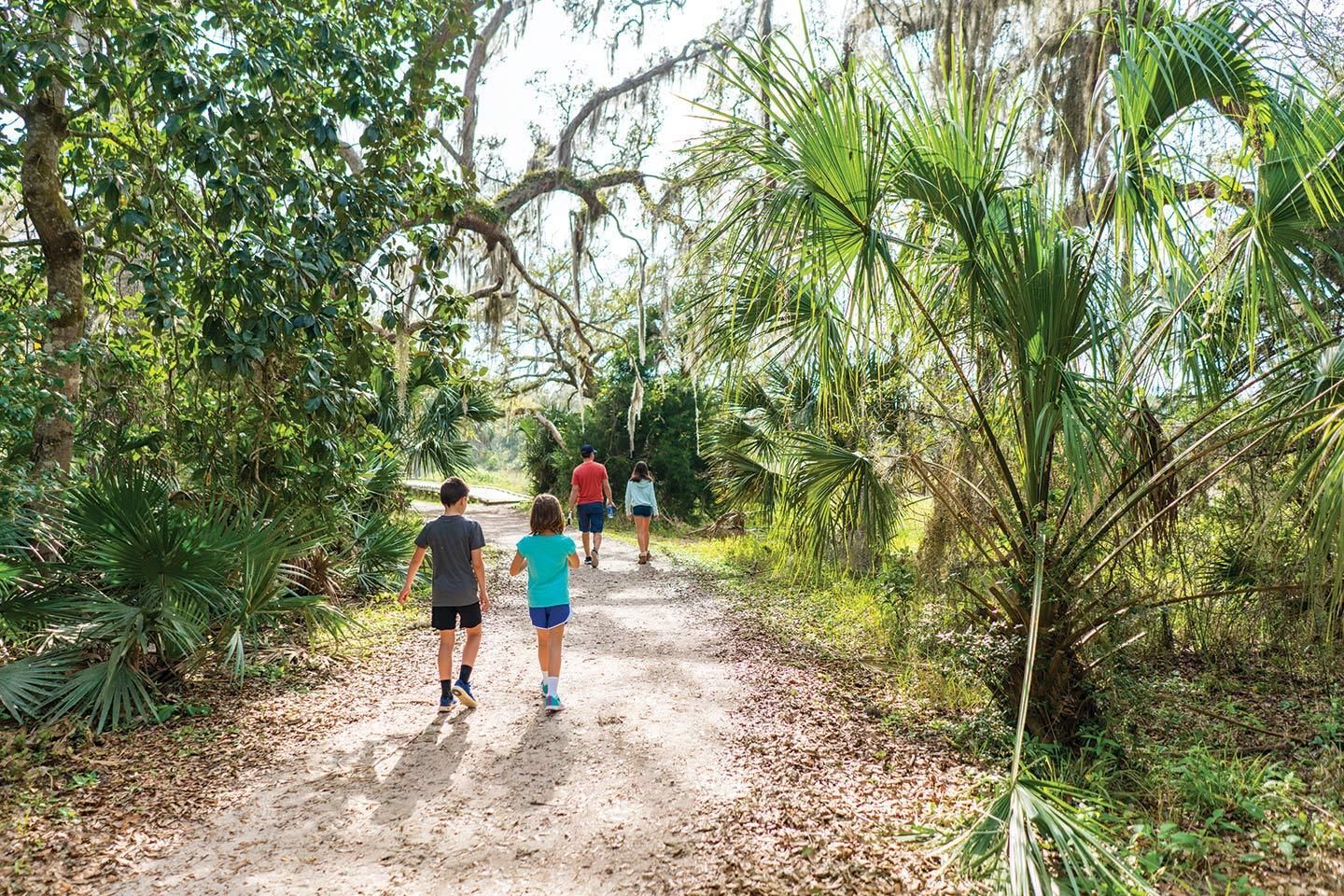 People walking along a sunlit dirt path through dense green forest