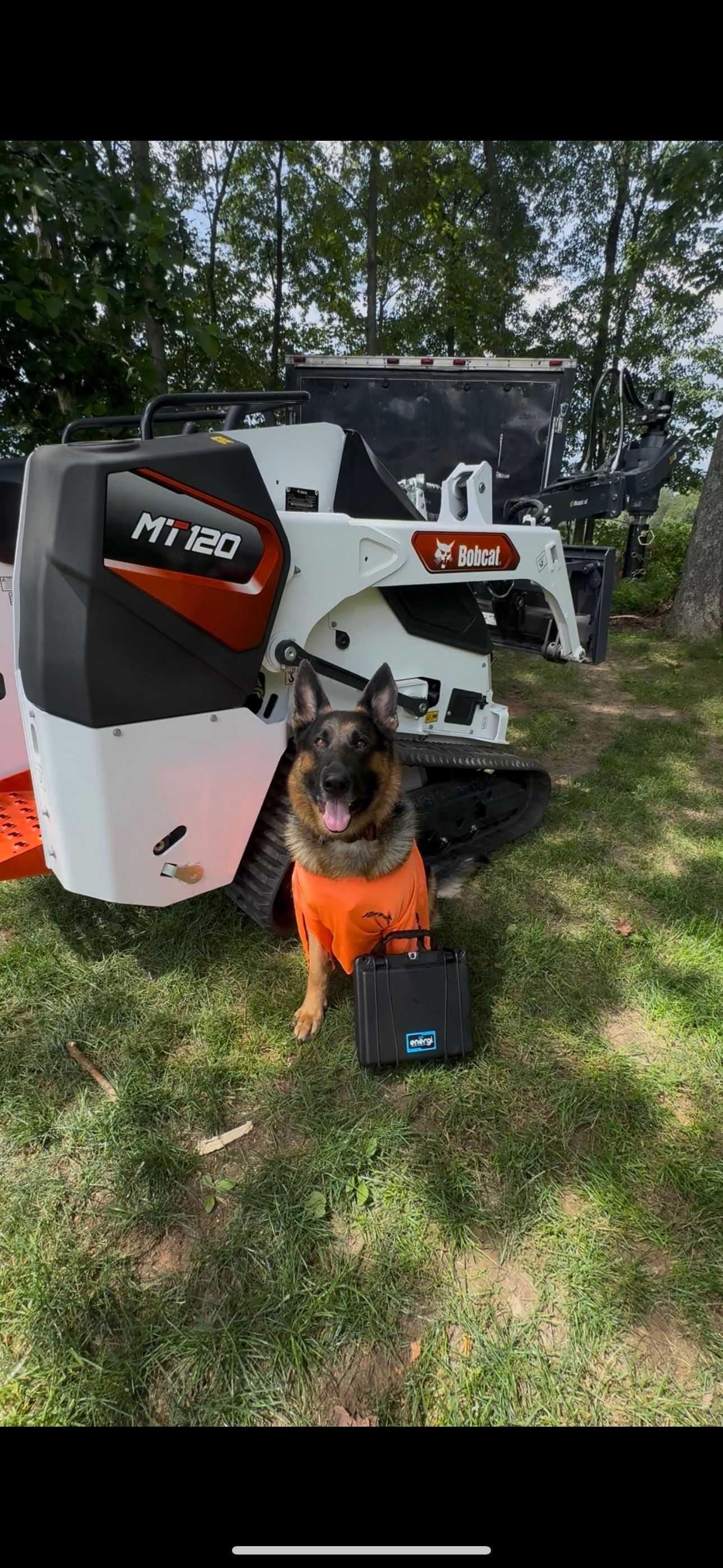 Orange-and-white mini skid steer on grass beside a black bag, under trees in a yard